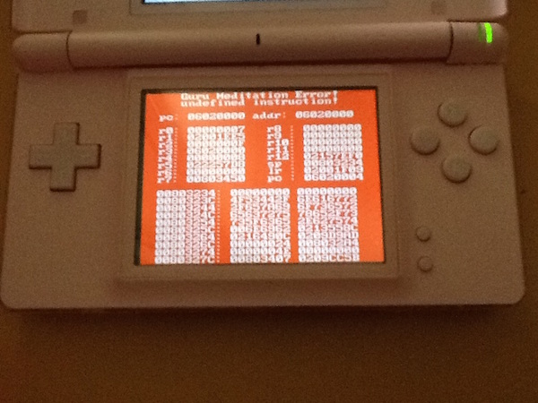 A Guru Meditation Error screen in DSOrganize on a pink DS Lite.